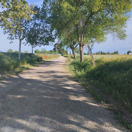 Casa Rural El Realengo 拉斯卡萨斯 外观 照片